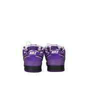 Load image into Gallery viewer, Nike Pro Sb x Concepts Purple Lobster Size 10 Right Back