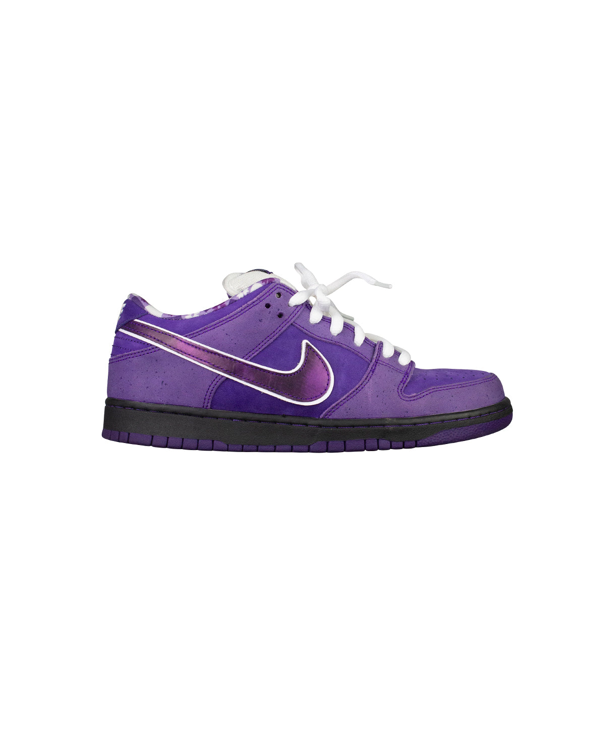 Nike Pro Sb x Concepts Purple Lobster Size 10 Right 